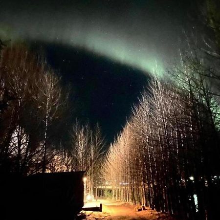 شقة Audkula Dome Cabin هيلاّ المظهر الخارجي الصورة