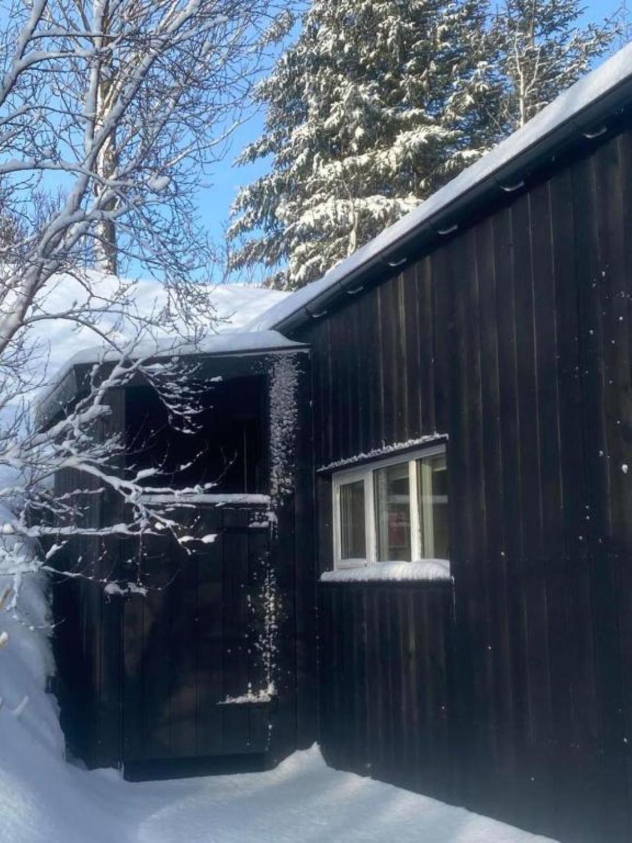 شقة Audkula Dome Cabin هيلاّ المظهر الخارجي الصورة