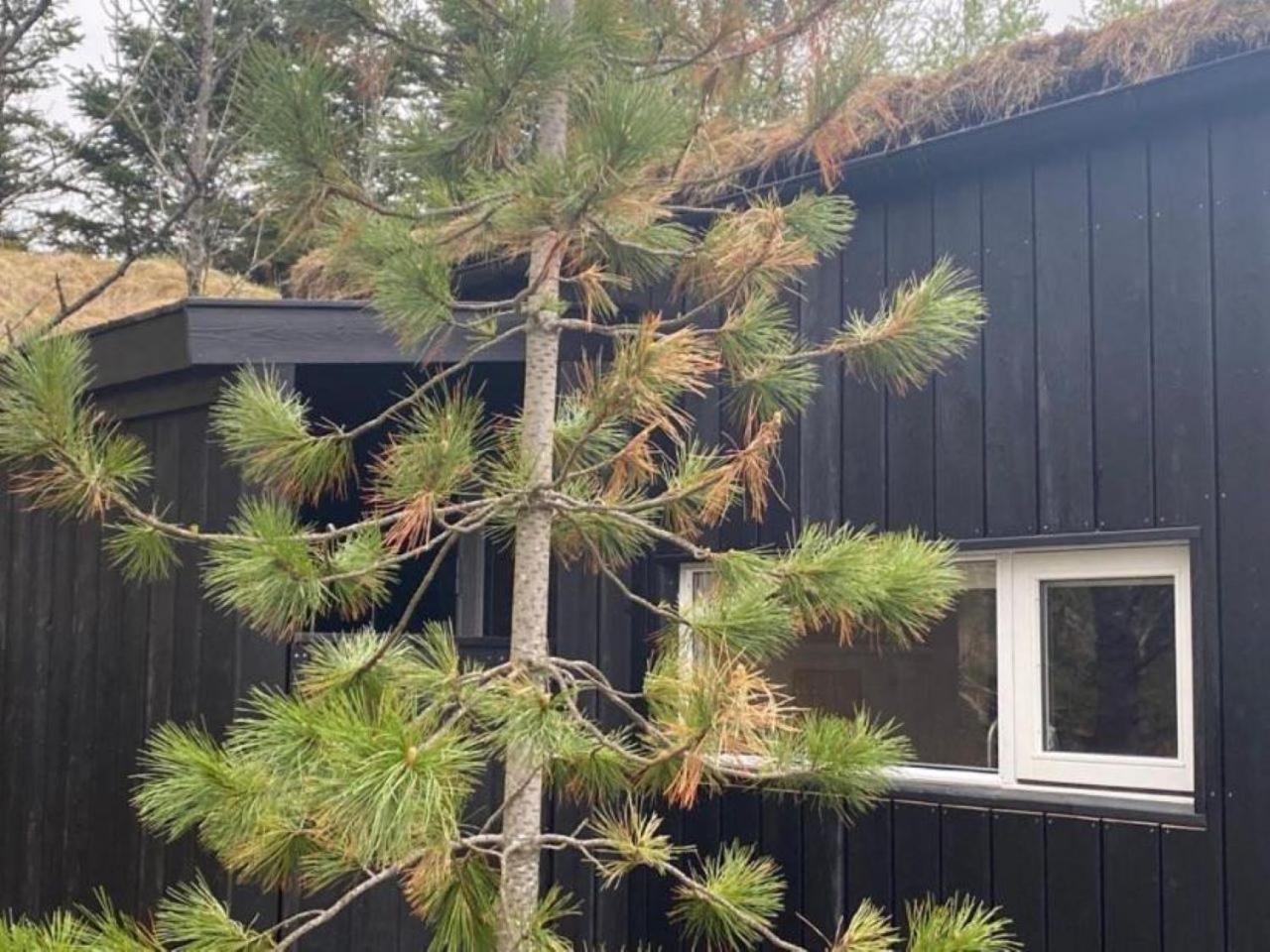 شقة Audkula Dome Cabin هيلاّ المظهر الخارجي الصورة